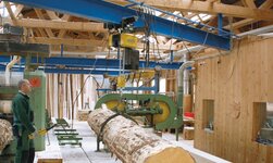 Overhead travelling crane with electric chain hoist lifts trunk