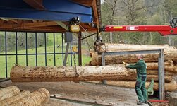 Overhead travelling crane with electric chain hoist lifts trunk