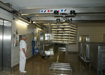 Overhead travelling crane with intermediate structure and electric chain hoist Overhead travelling crane with intermediate structure in cheese production