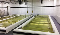 Rust-resistant electric chain hoist over salt bath An electric chain hoist made of rust-resistant material is used in food production