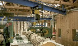 Crane system for bulky loads transports tree trunk for wood processing